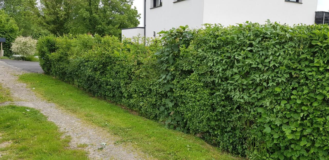 Maison Moderne A La Campagne Bezinghem ภายนอก รูปภาพ
